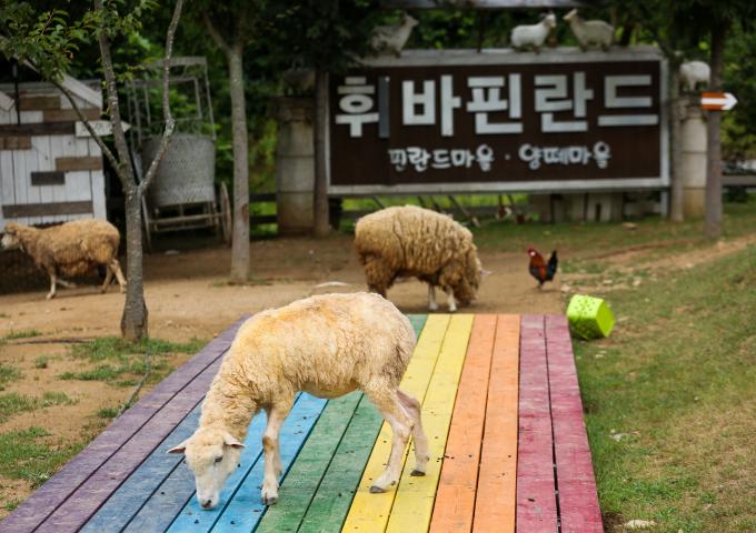 휘바핀란드 이미지 입니다.